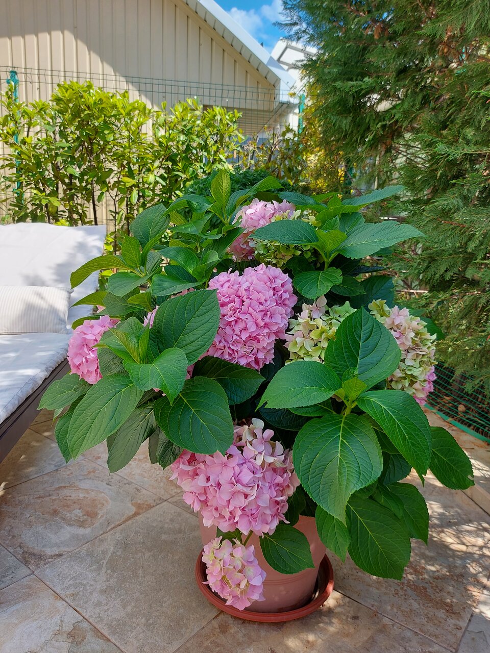 Бутик-Отель Мускатель Гурзуф-220