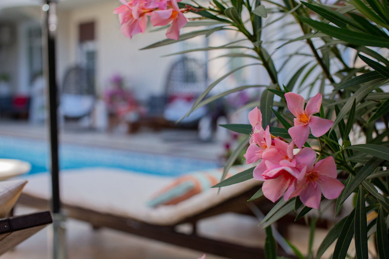 Бутик-Отель Мускатель Гурзуф-233