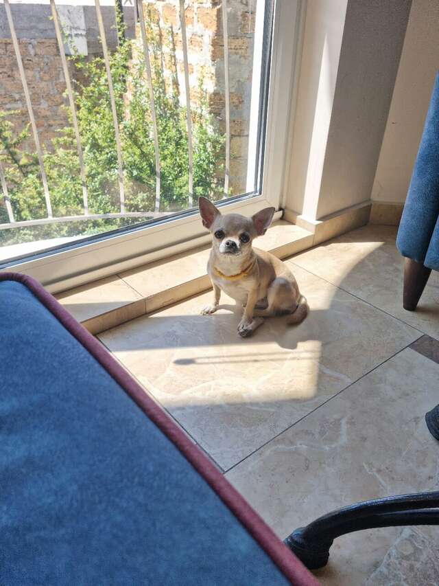 Бутик-Отель Мускатель Гурзуф-215