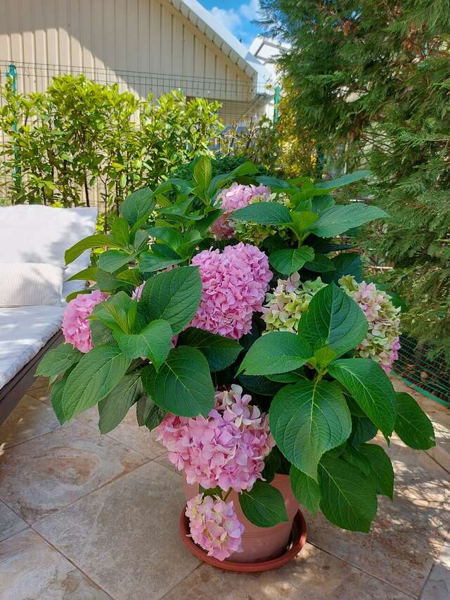 Бутик-Отель Мускатель Гурзуф-219