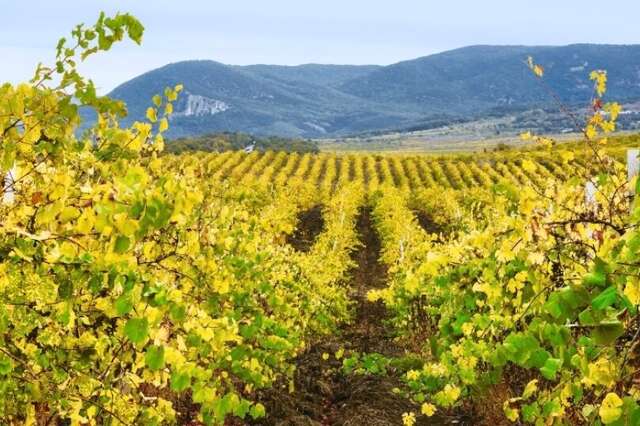 Бутик-Отель Мускатель Гурзуф-129